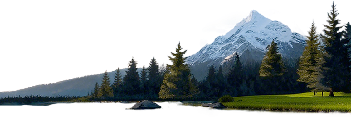 Mobile Banner