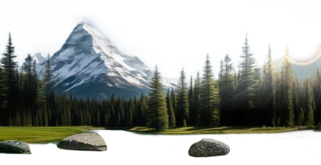 Mobile Banner