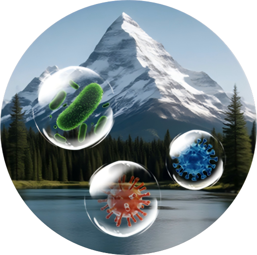 Removes up to 99.99% of pollutants