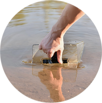 Turn Nature Into Your Water Supply